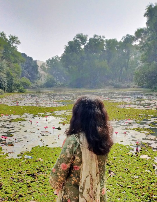 Custom Web Development Services in Bangladesh